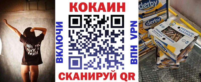 дарнет шоп  Орск  Кокаин Fish Scale 
