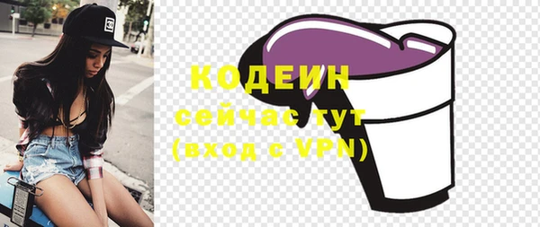 шишки Лагань