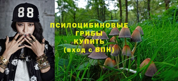 сатива Ладушкин