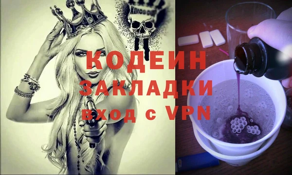 шишки Лагань