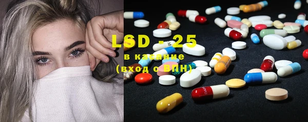 шишки Лагань